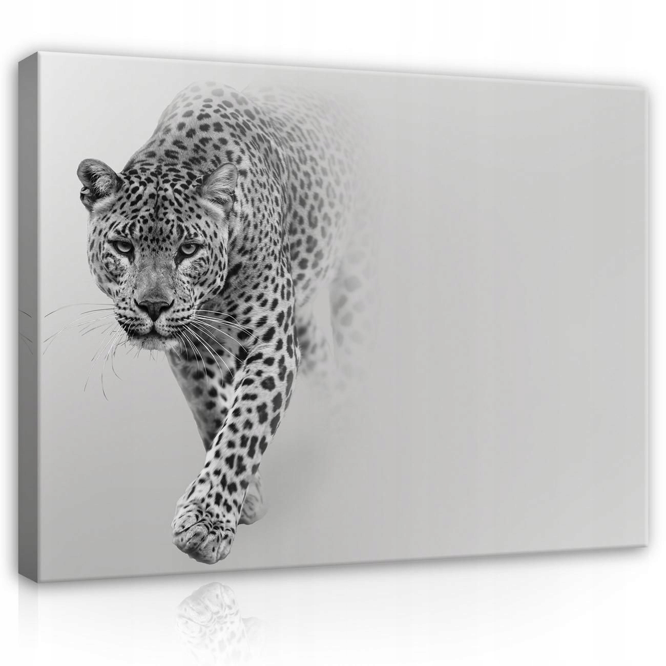 Obraz Na Plátně Canvas 100x75 Leopard Mlha Kočka