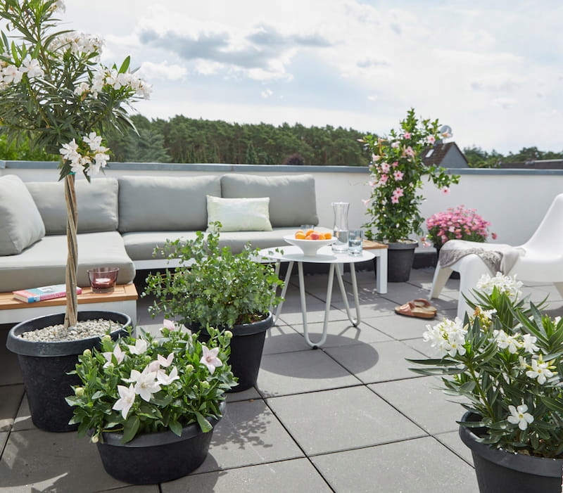 Donica tarasowa 40 jak kamienna terakota Scheurich Materiał wykonania tworzywo sztuczne