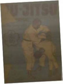 Ju-jitsu pas niebieski - Haesendonck