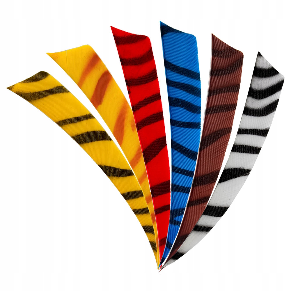 Lotki indycze Shield 4" Zebra
