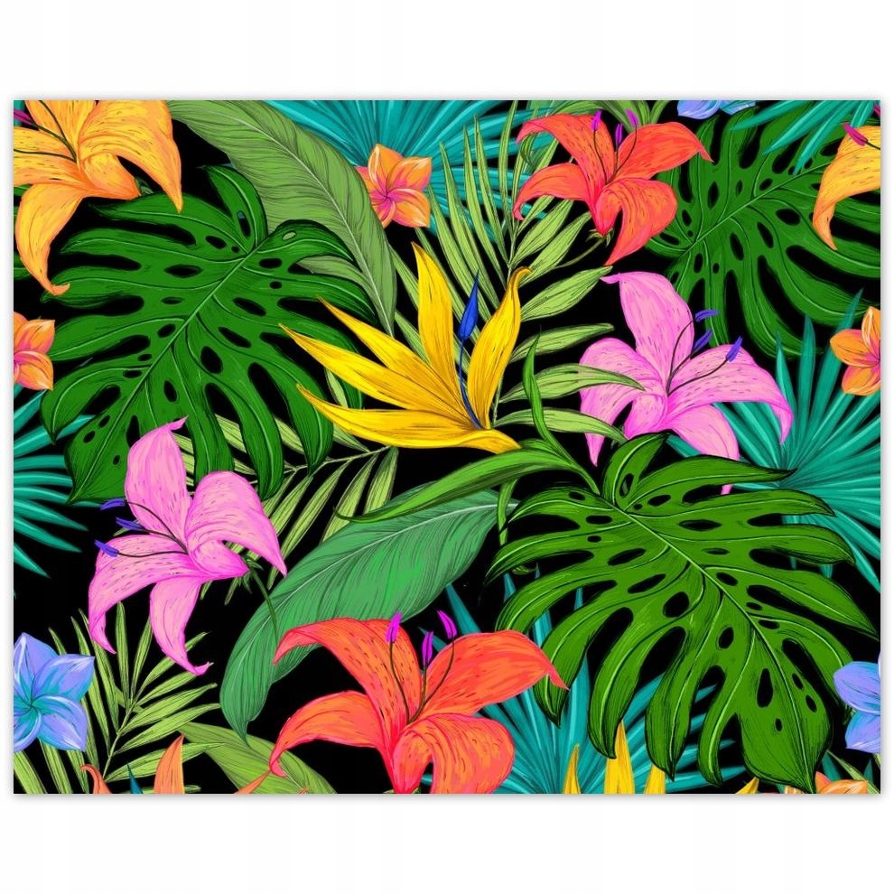 

Plakat 50x40 Liście Monstery Listki