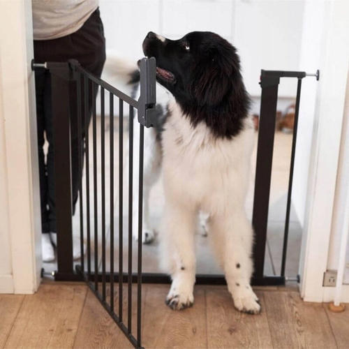 Levně DogSpace Lassie rozpěrná branka pro psa, černá