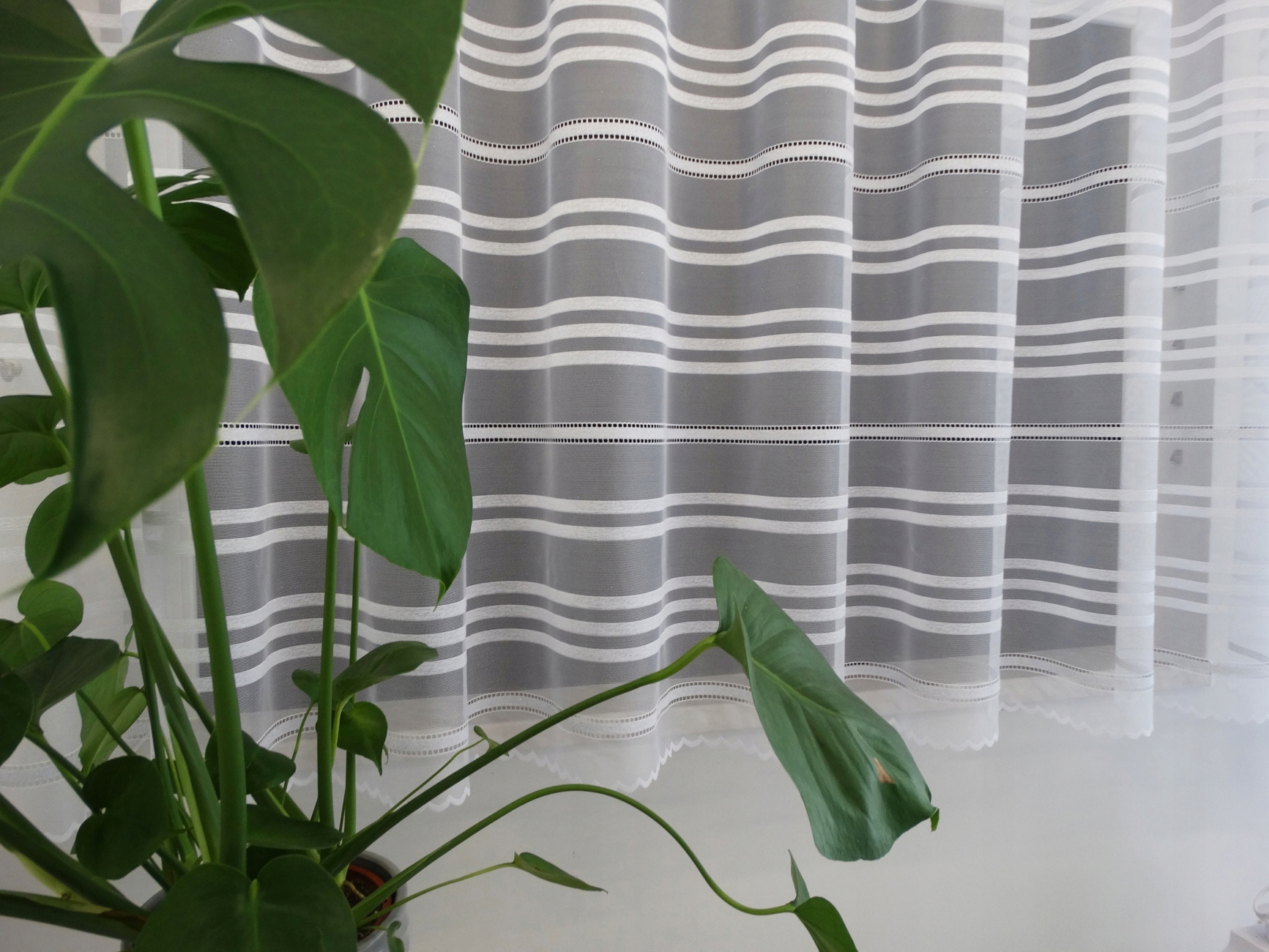 Mg Záclona 35806 Bílá stříbro 400x250 cm hotová obšitá M