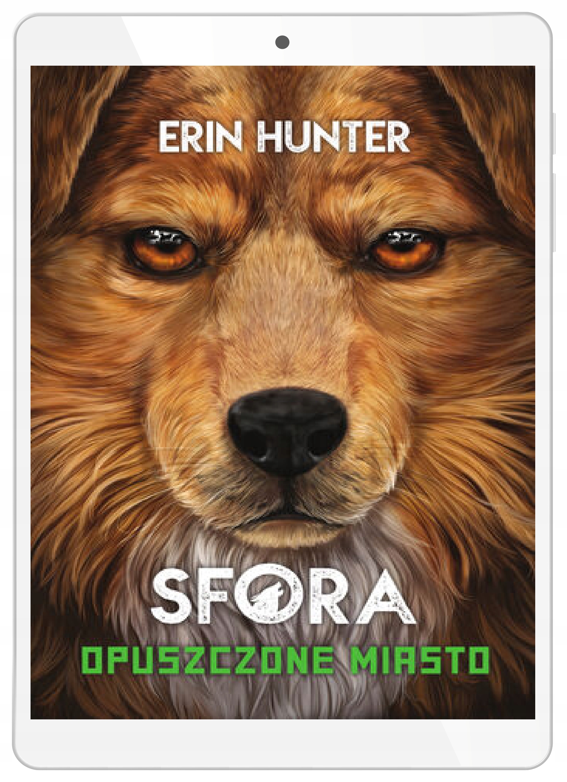 Sfora (tom 1). Opuszczone miasto