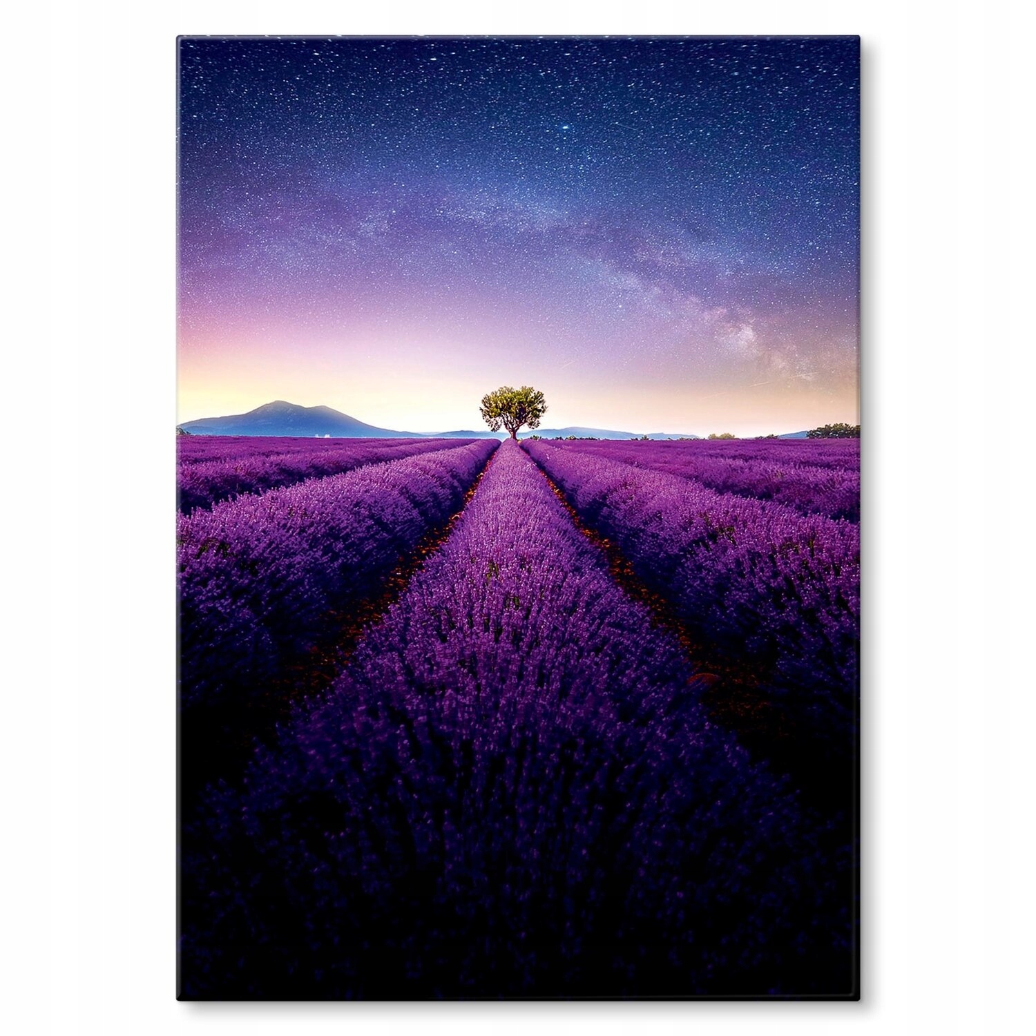 Kovový plakát Strom na levandulovém poli Šidítko Plech 42 x 59,4 cm Dárek