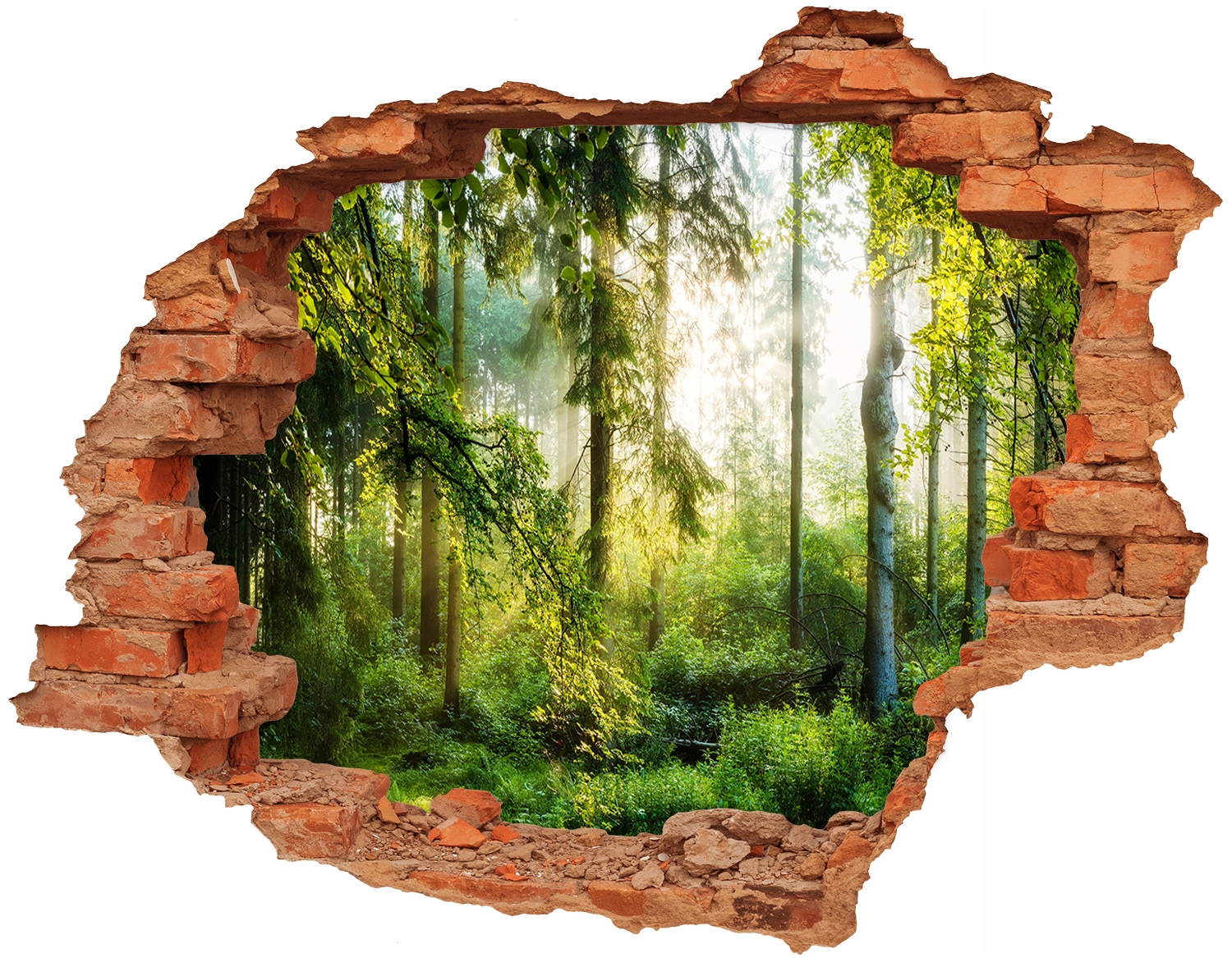 

Naklejka samoprzylepna 120x93 Poranne słońce las