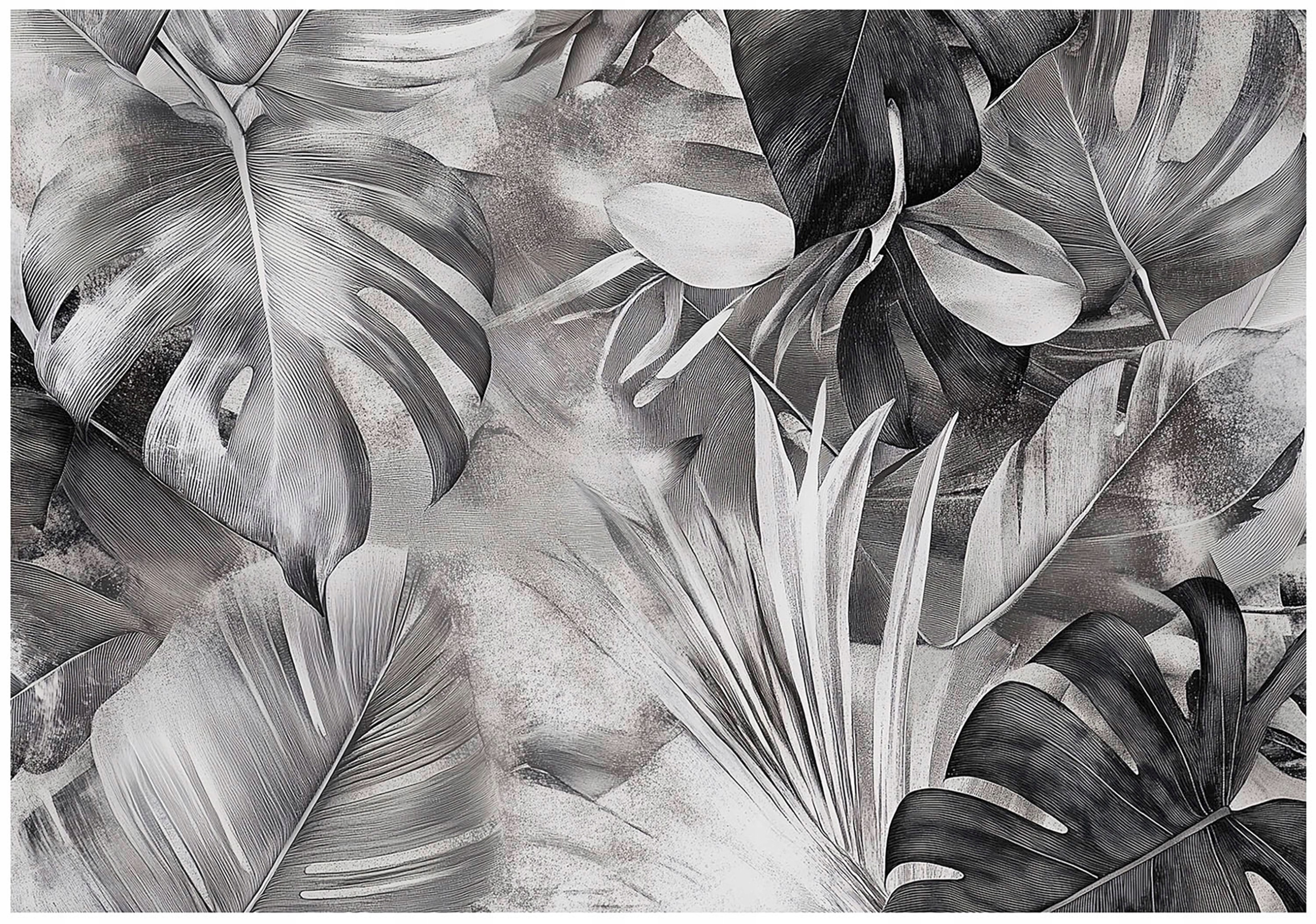 Fototapeta Šedé Listy Monstera Abstrakce Džungle Černá Bílá 200x140
