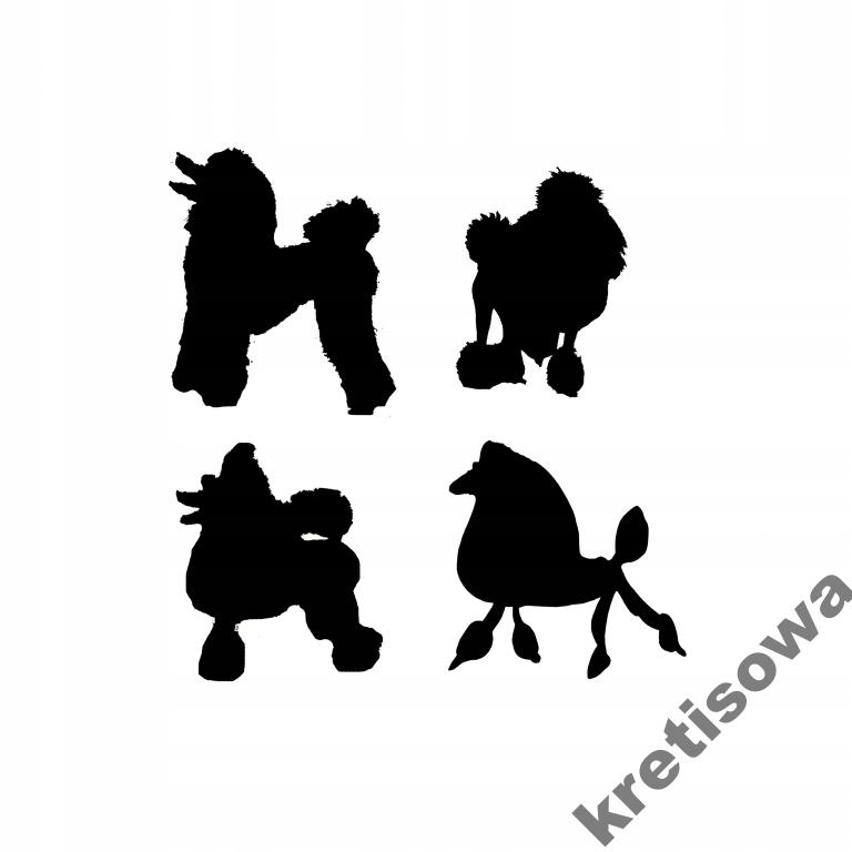 

Męska Pies Pudel Pudelek Hit Super Wzory p5a