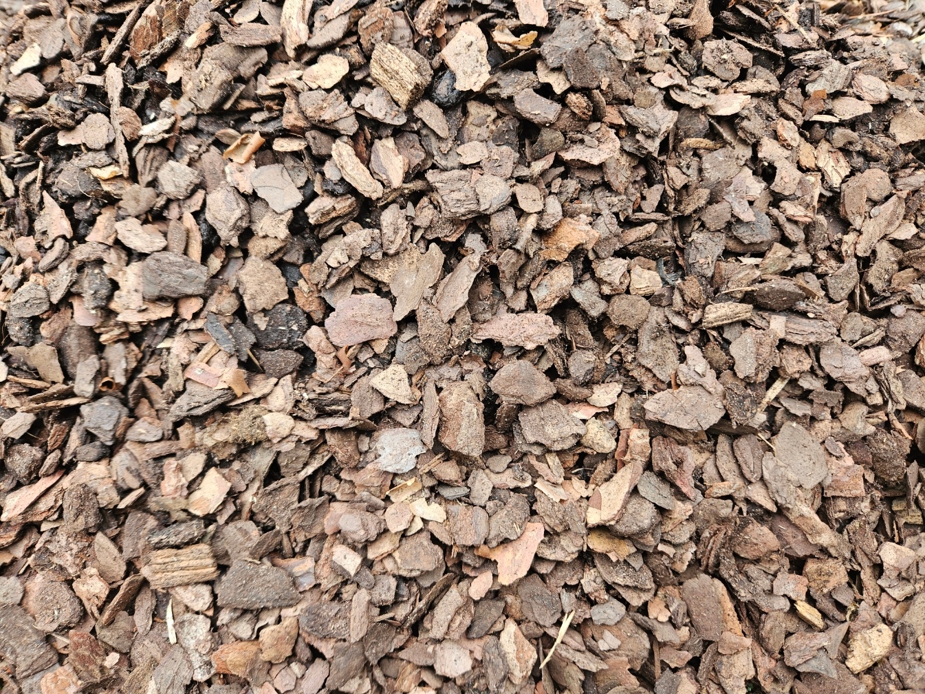 KORA OGRODOWA SOSNOWA DEKORACYJNA DROBNA aż 70L Kod producenta 5906479265658