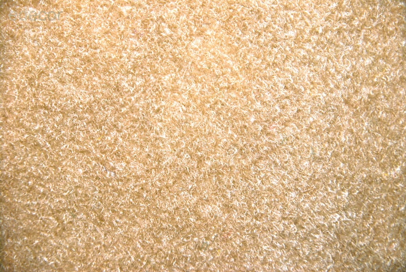 

Wykładzina targowa Revexpo Dywan beżowy