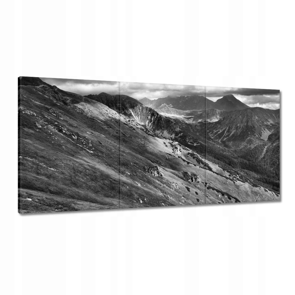 Obrazy 180x90 Tatry Poľské hory Pohľad