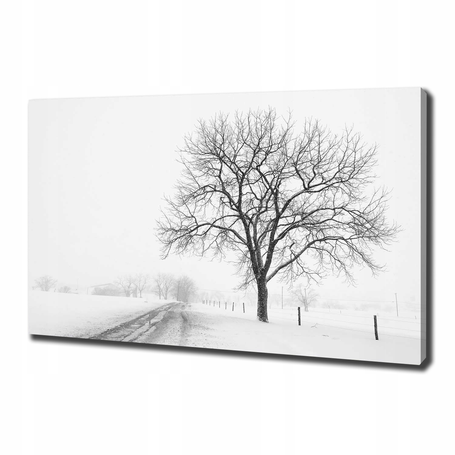 

Foto obraz canvas na ścianę Drzewo zimą 100x70 cm