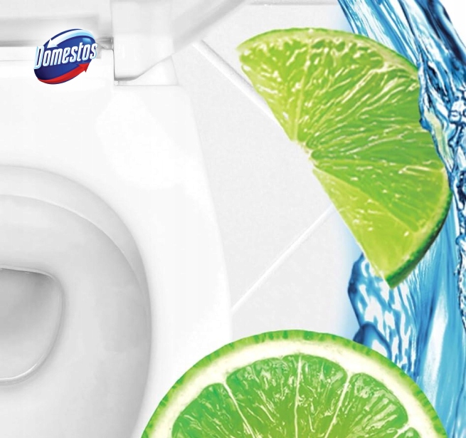 ZESTAW 5X DOMESTOS POWER 5 KOSTKA DO WC MIX 3X55G Marka Domestos