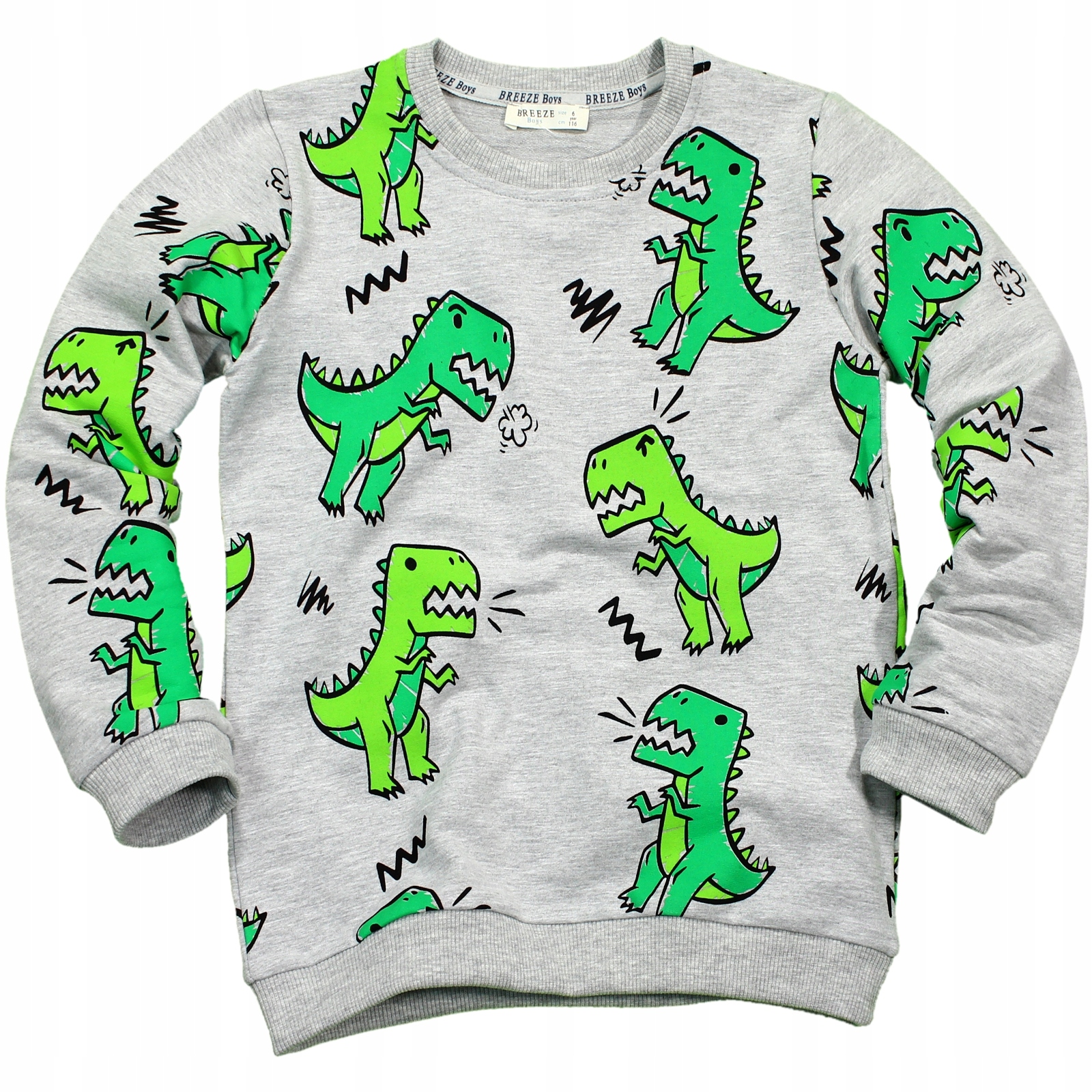 

Bluza Dresowa Dinozaury Bawełna Breeze 98