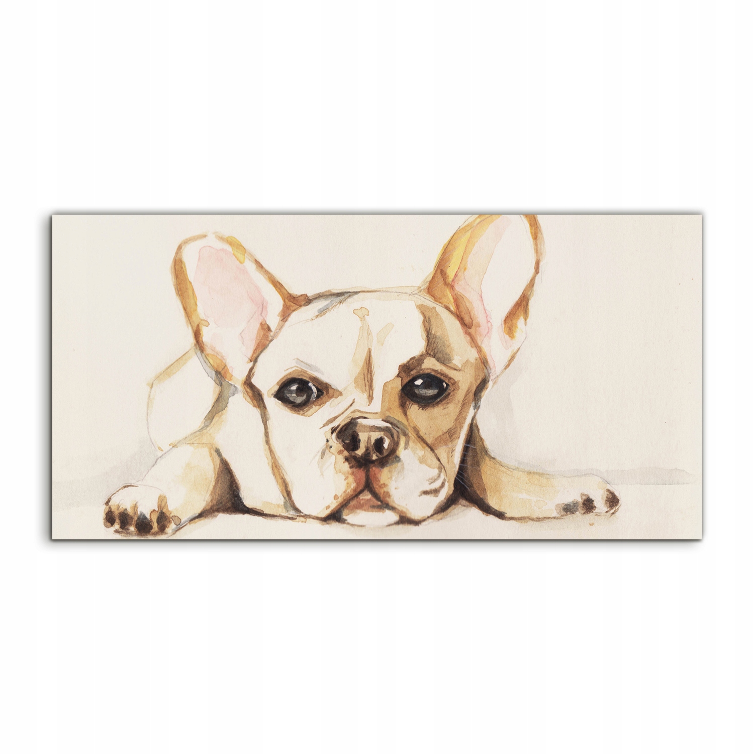 

Obraz akryl 140x70 na ścianę Bulldog Pies Zwierzę