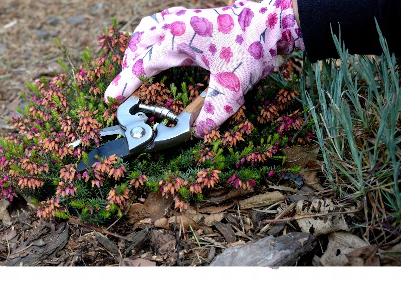 RĘKAWICE RĘKAWICZKI OGRODOWE DAMSKIE S/M ROBOCZE Marka Tadar