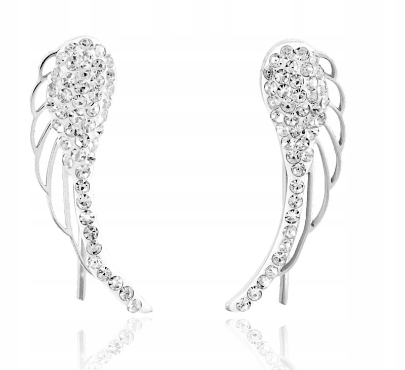 

Kolczyki Srebrne Duże Skrzydła Cyrkonie Stal 316 L