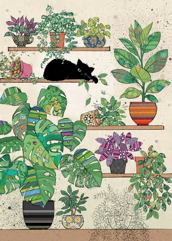 

Karnet kartka Bug Art koperta Kot rośliny