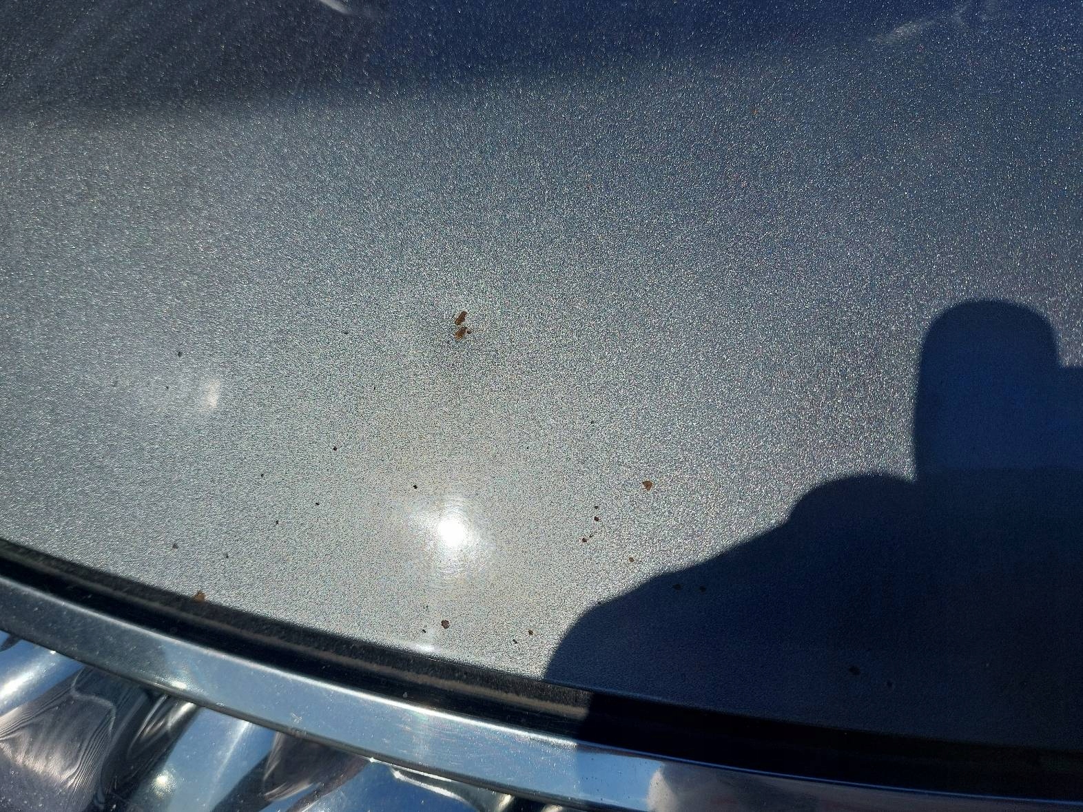 Capot NISSAN MURANO Z50 K21