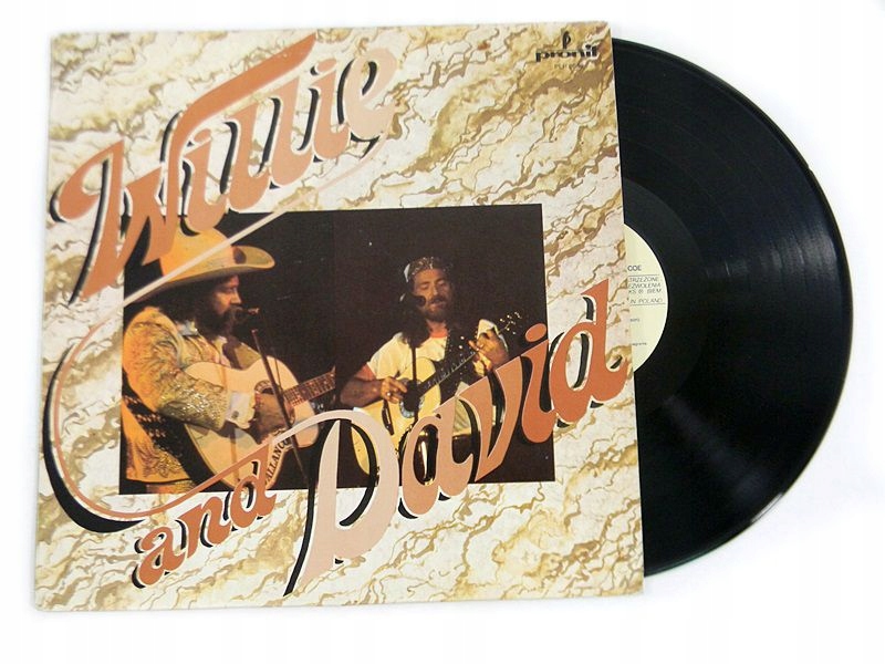 Willie Nelson And David Allan Coe [WINYL] NOWA