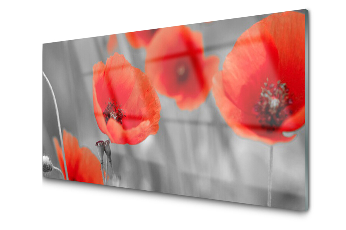 

Panel szklany dekoracyjny Maki Roślina 100x50