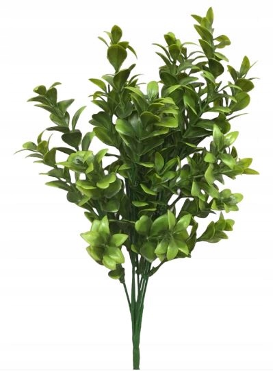 

Bukszpan liście Eukaliptus sztuczny zielony 34 cm