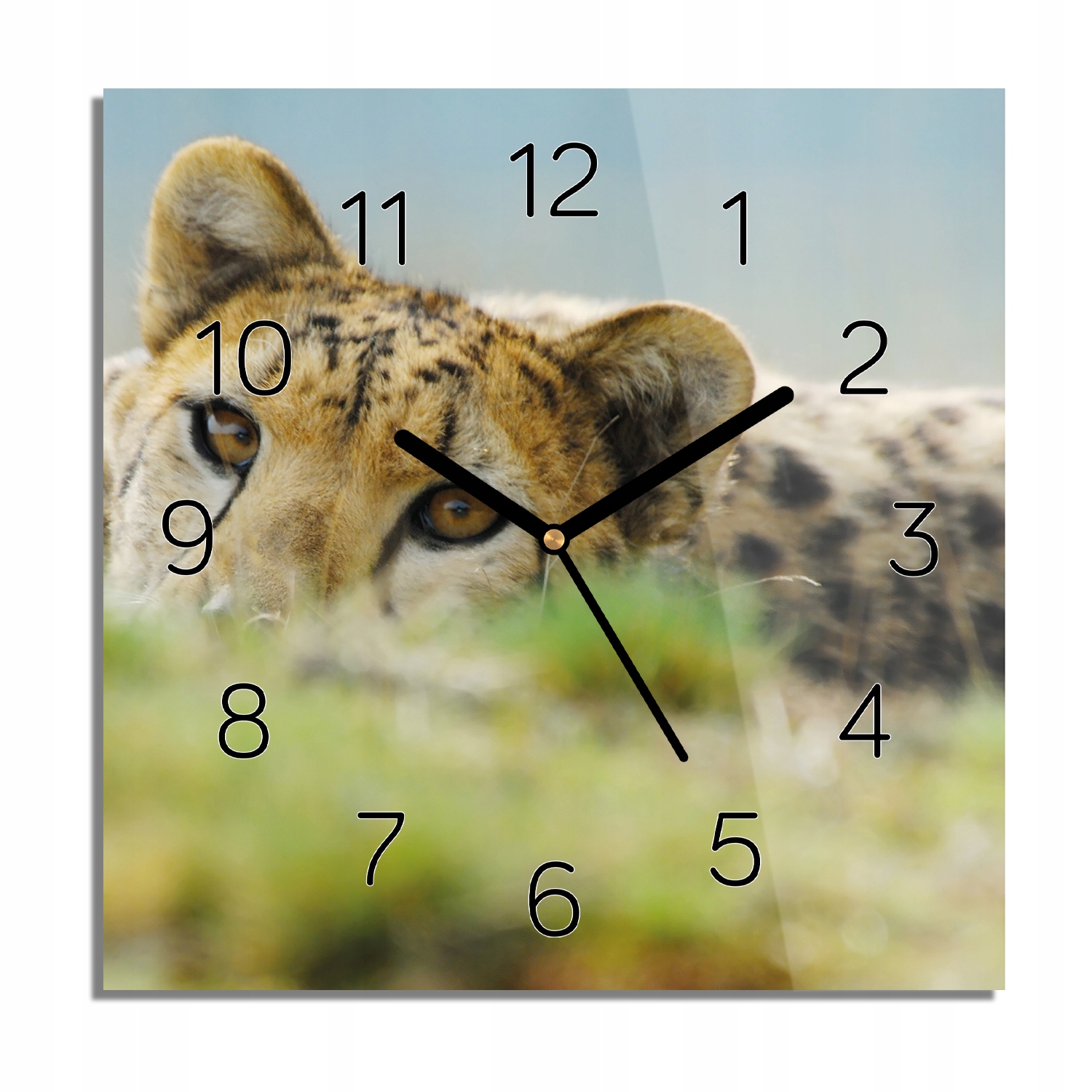 

Gepard zegar szklany nowoczesny 30x30 do biura