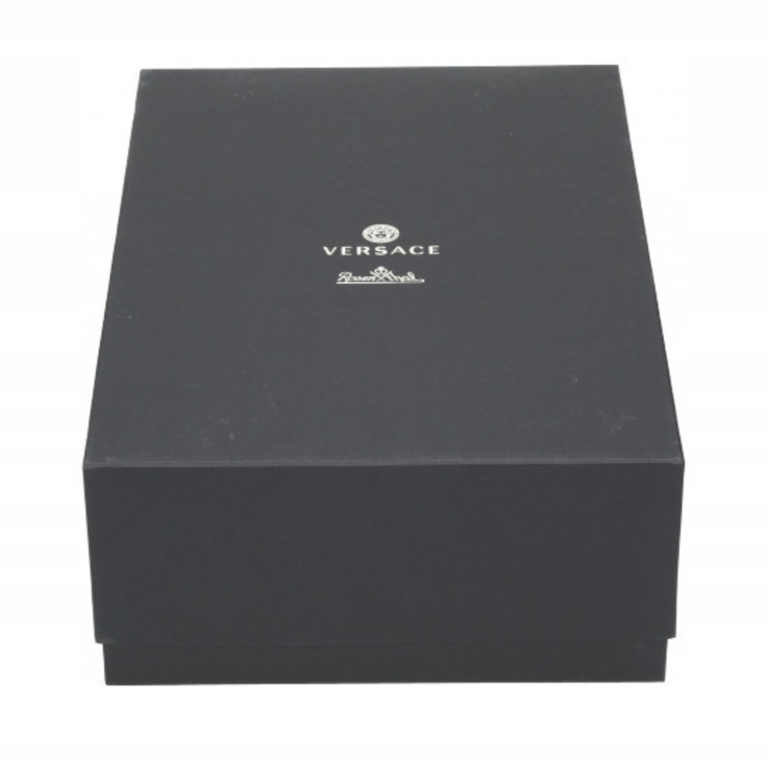 Zestaw 2 szklanek do whisky Versace Crystal Lumier Kolor przezroczysty