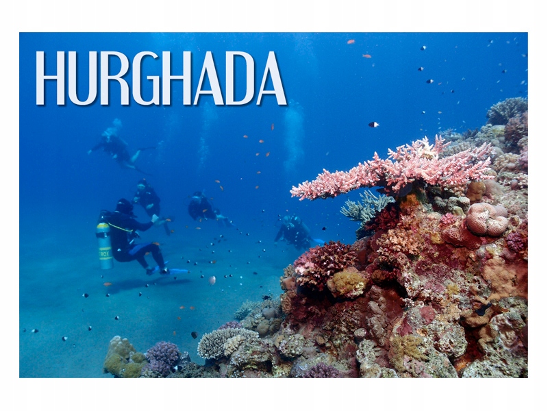 

Hurghada Nurkowanie Rafa Magnes na lodówkę