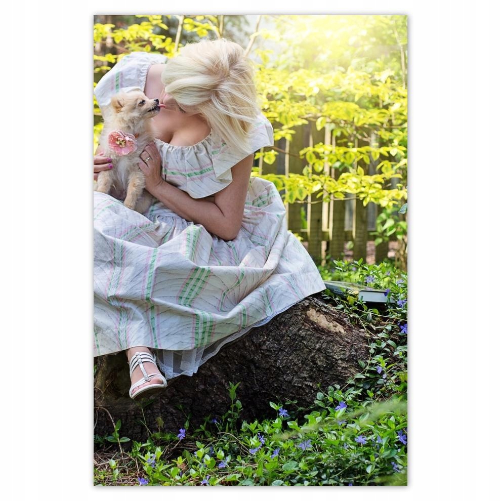 

Plakat 62x93 Pies Piesek Psiaki