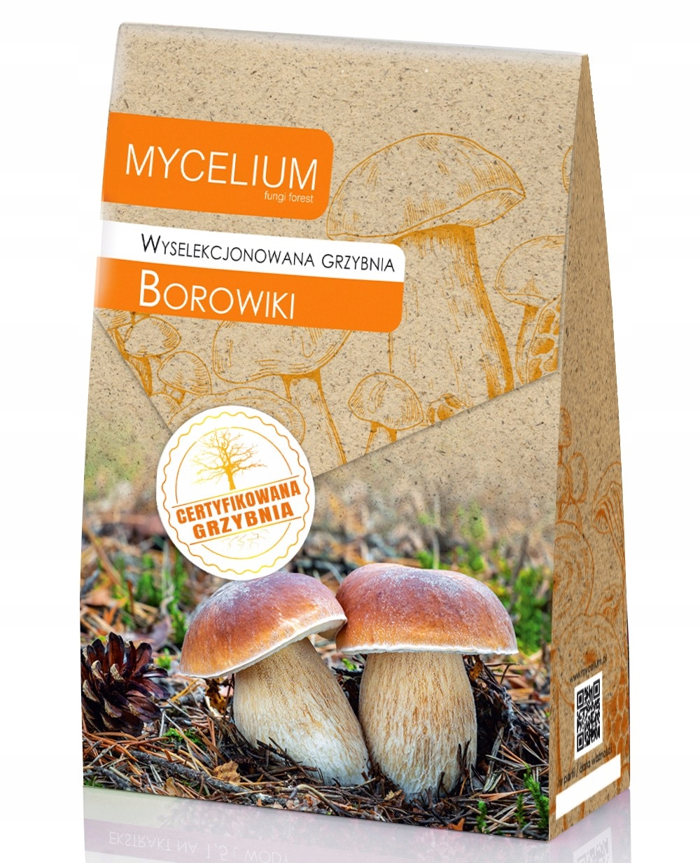 

Wyselekcjonowana grzybnia Borowiki 120ml
