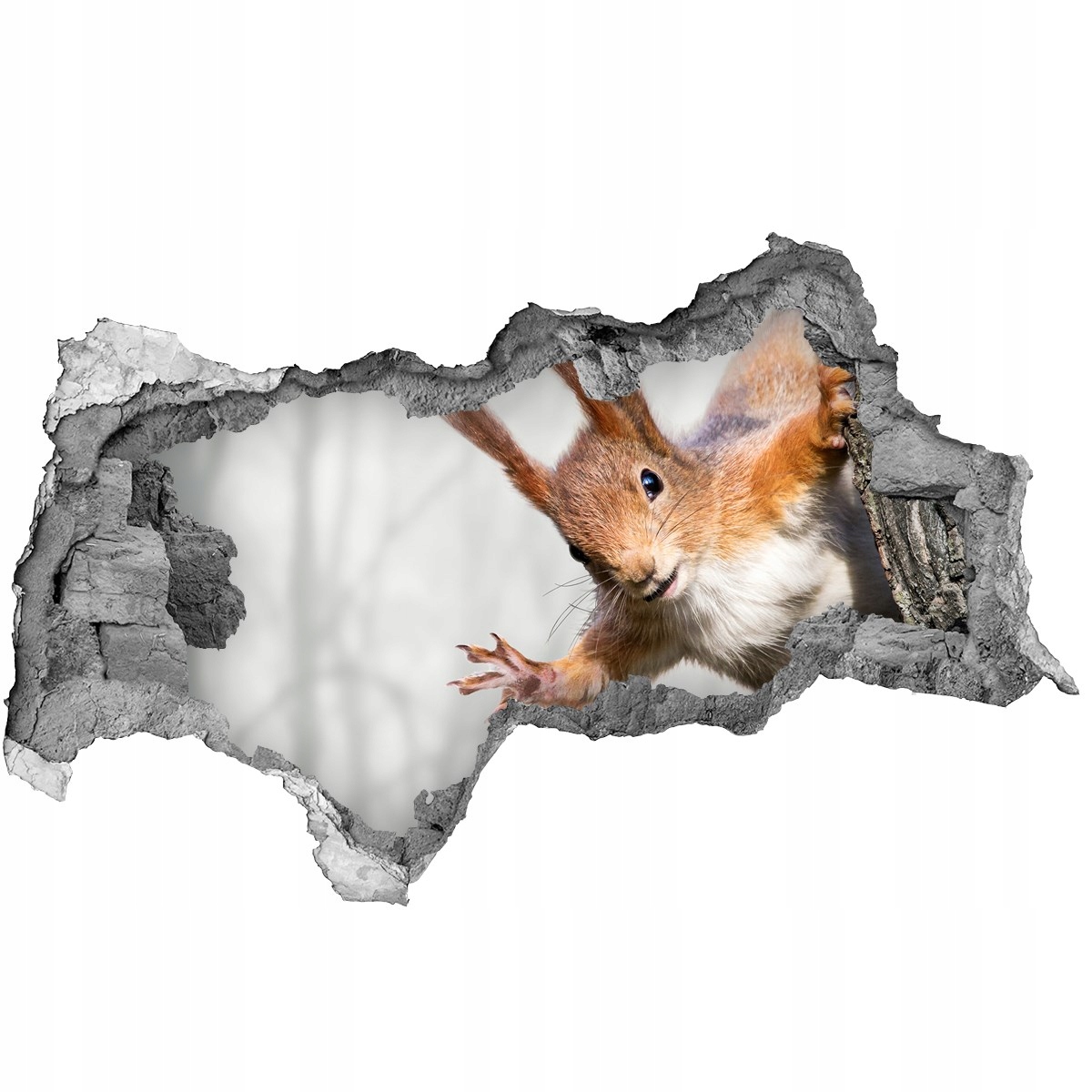

Dziura 3d fototapeta Naklejka Wiewiórka 115x88