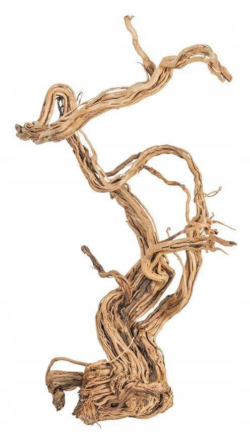 Levně Dekorativní Kořen Fine Wood Wave Do Akvária S Přírodní Ozdobou 1 Kg