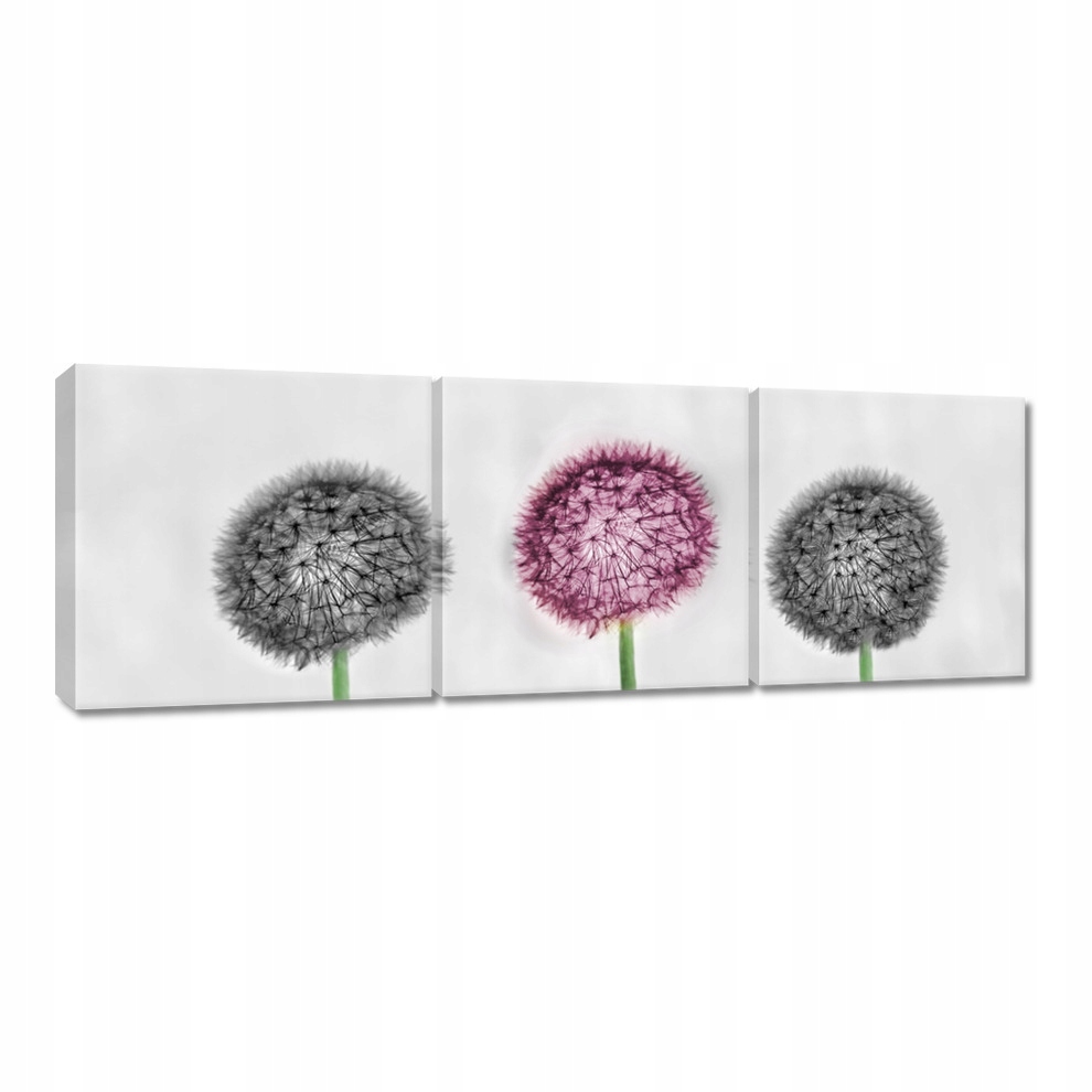

Obrazy 120x40 Dmuchawce Dmuchańce