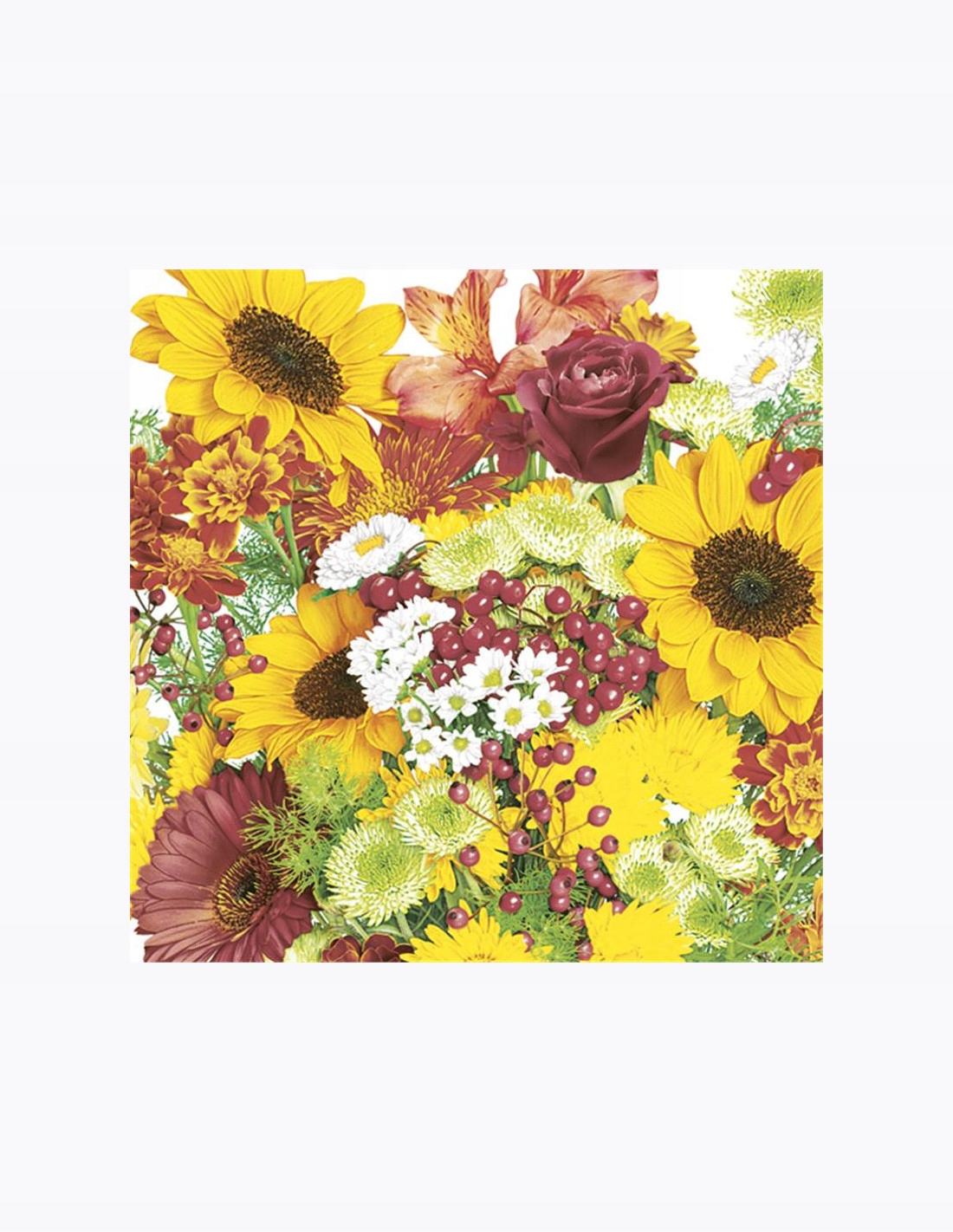 SZALVÉTA DAISY EBÉD 330X330 ÁLTALÁNOS 034001