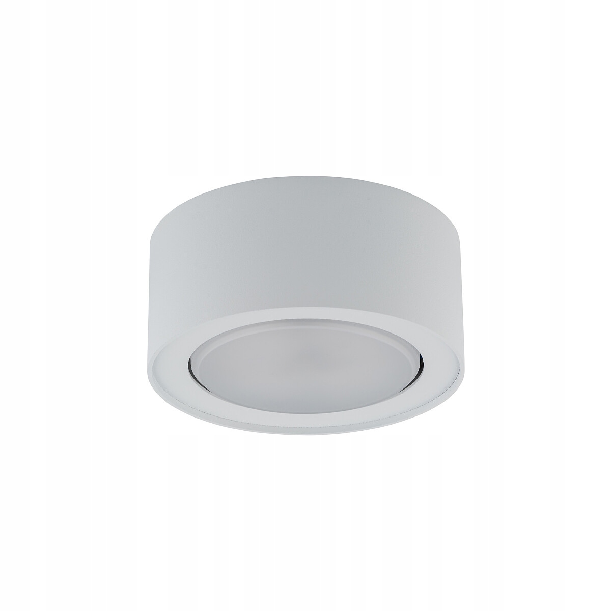 NATYNKOWA LAMPA PUNKTOWA FLEA 12W NOWODVORSKI