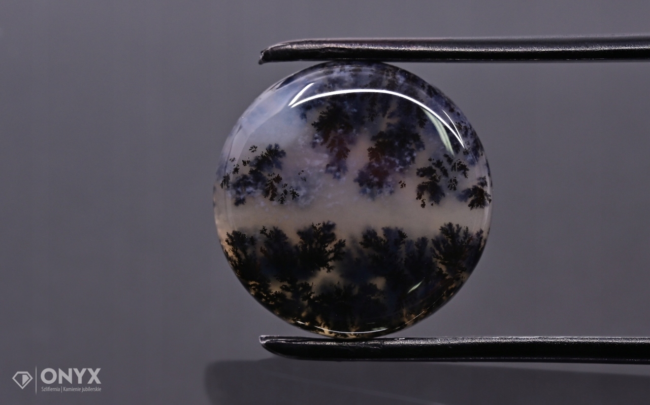 Dendritový achát z Kazachstánu konvexní mělký kruh