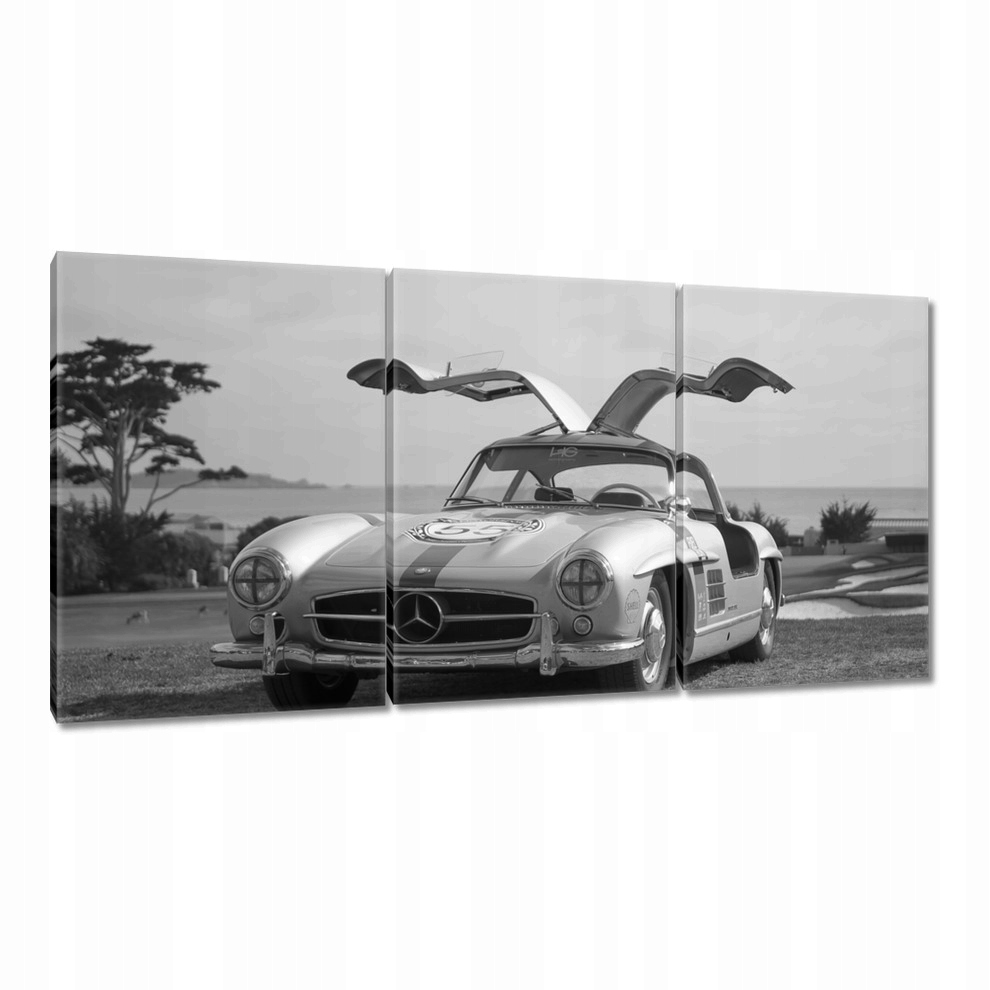 

Obrazy 60x30 Mercedes Gullwing