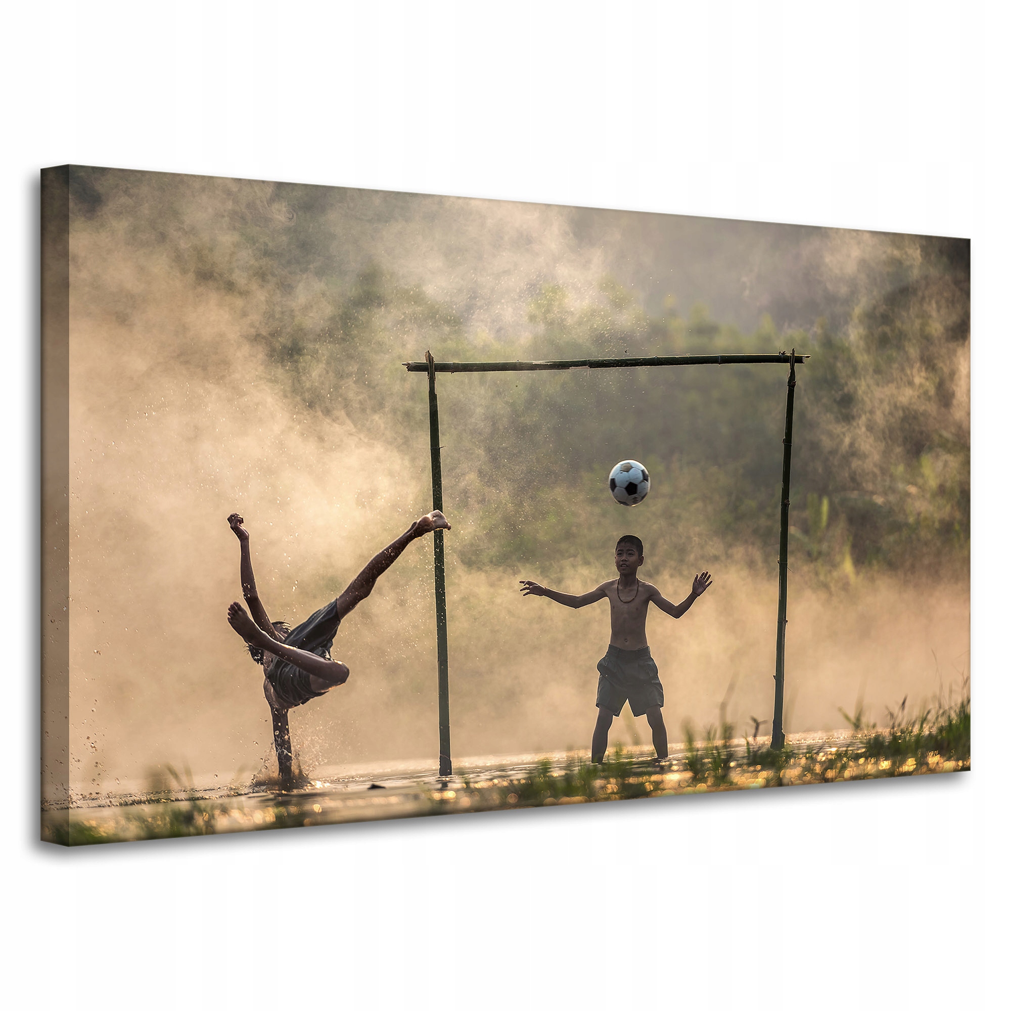 Obraz Canvas Pro Mládež Míčová hra 100x60 cm