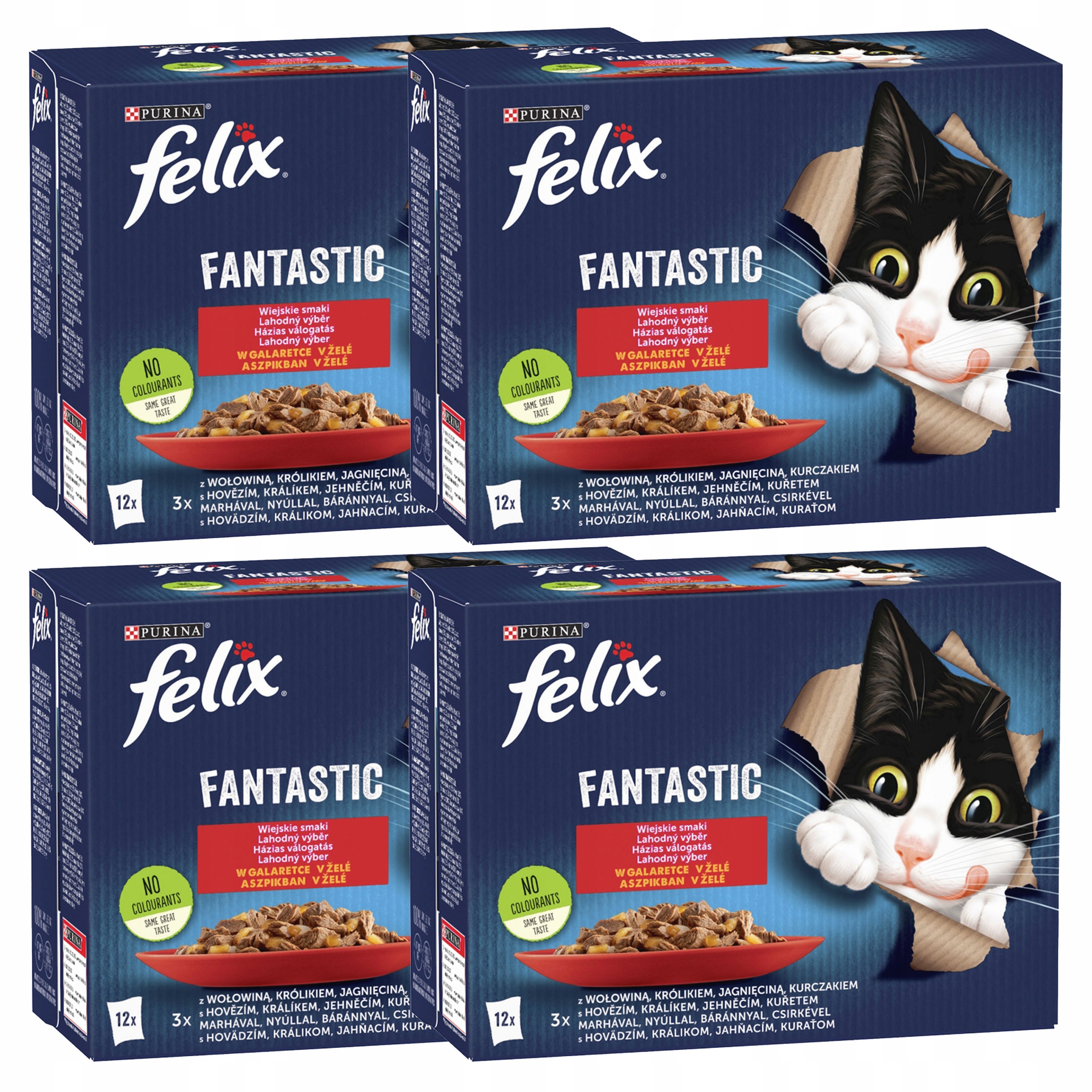 Purina Felix Fantastic krmivo pro kočky, masový mix chutí 48 x 85 g