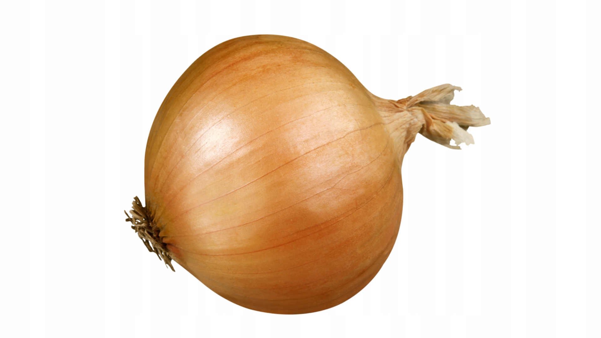 Cebula biała opakowanie 10kg