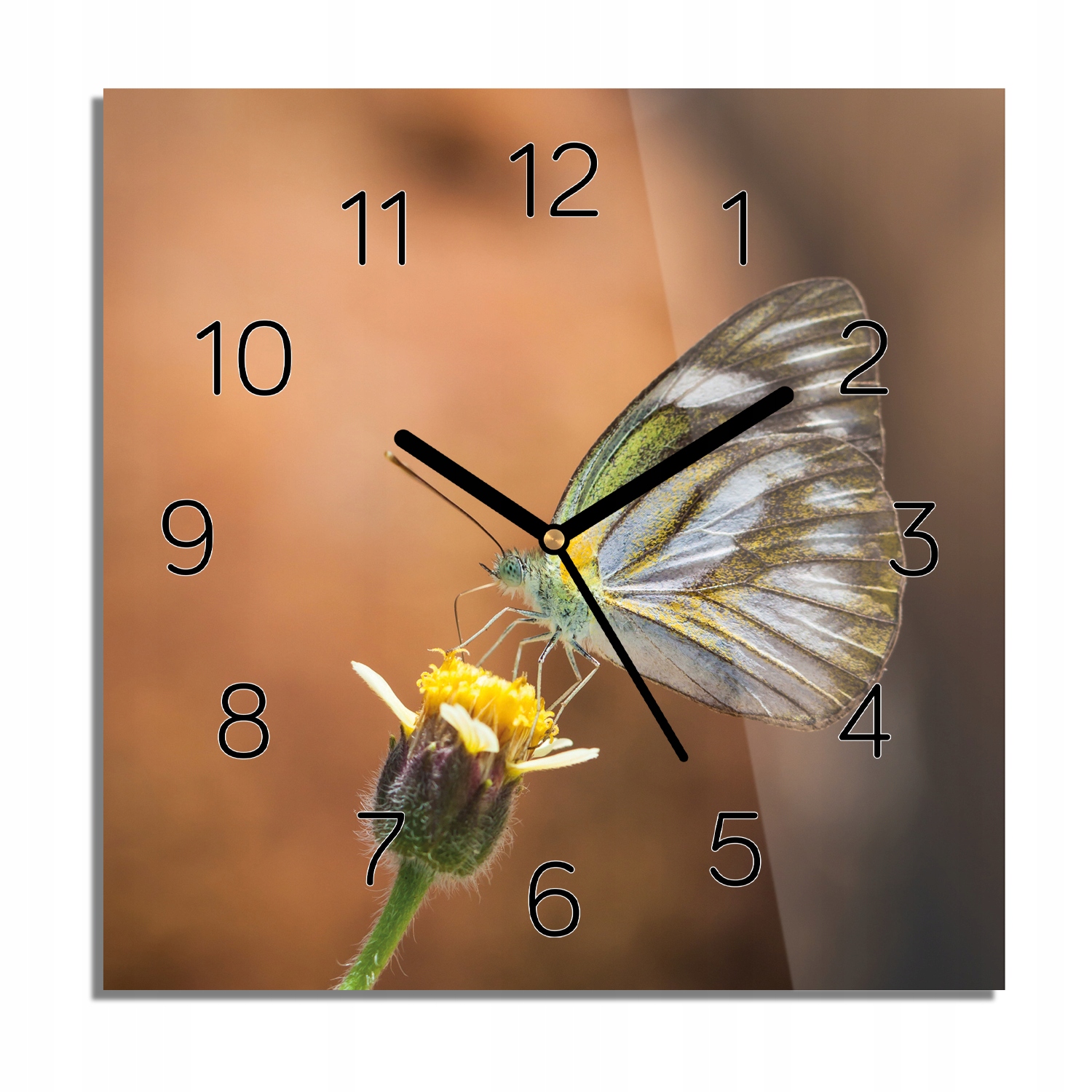 

Motyl owad kwiat foto-zegar czarne cyfry 30x30