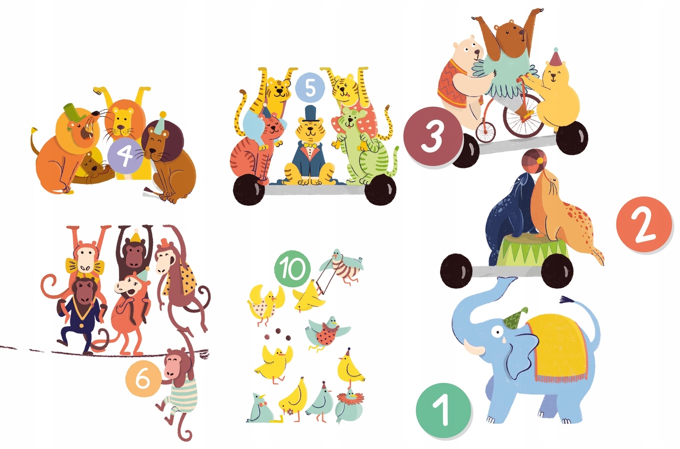 UCZĘ SIĘ BAWIĄC ZABAWA CYFERKAMI MATEMATYKA 3lata+ Typ Podstawa