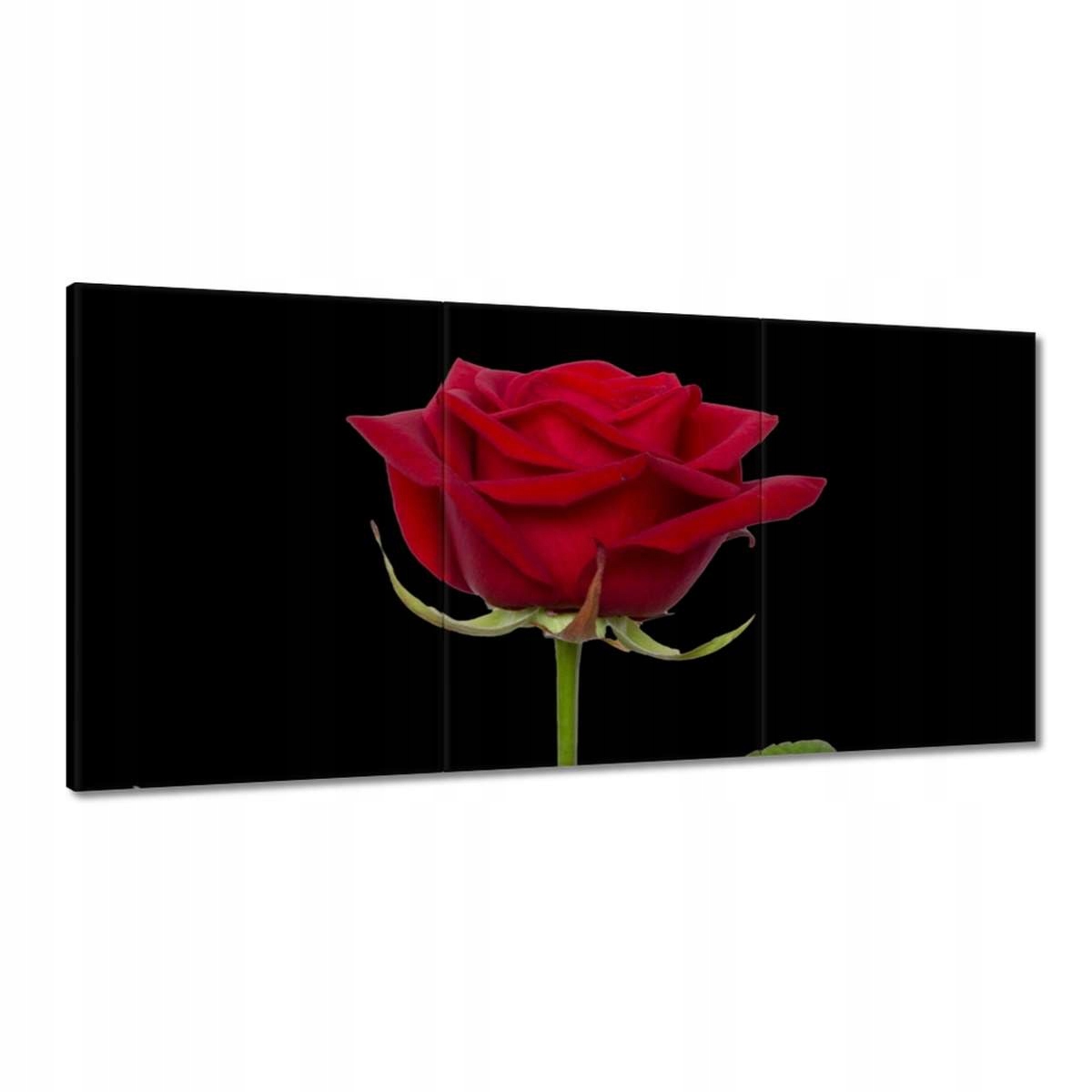 Obrazy 180x90 Deň žien Darčeková láska