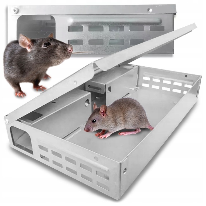 BUZZARD, ŽIVÝ PLOT, PASCA NA MYŠI, LAPAČ