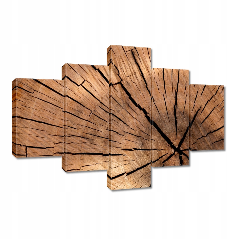 

Obrazy 100x70 Słoje