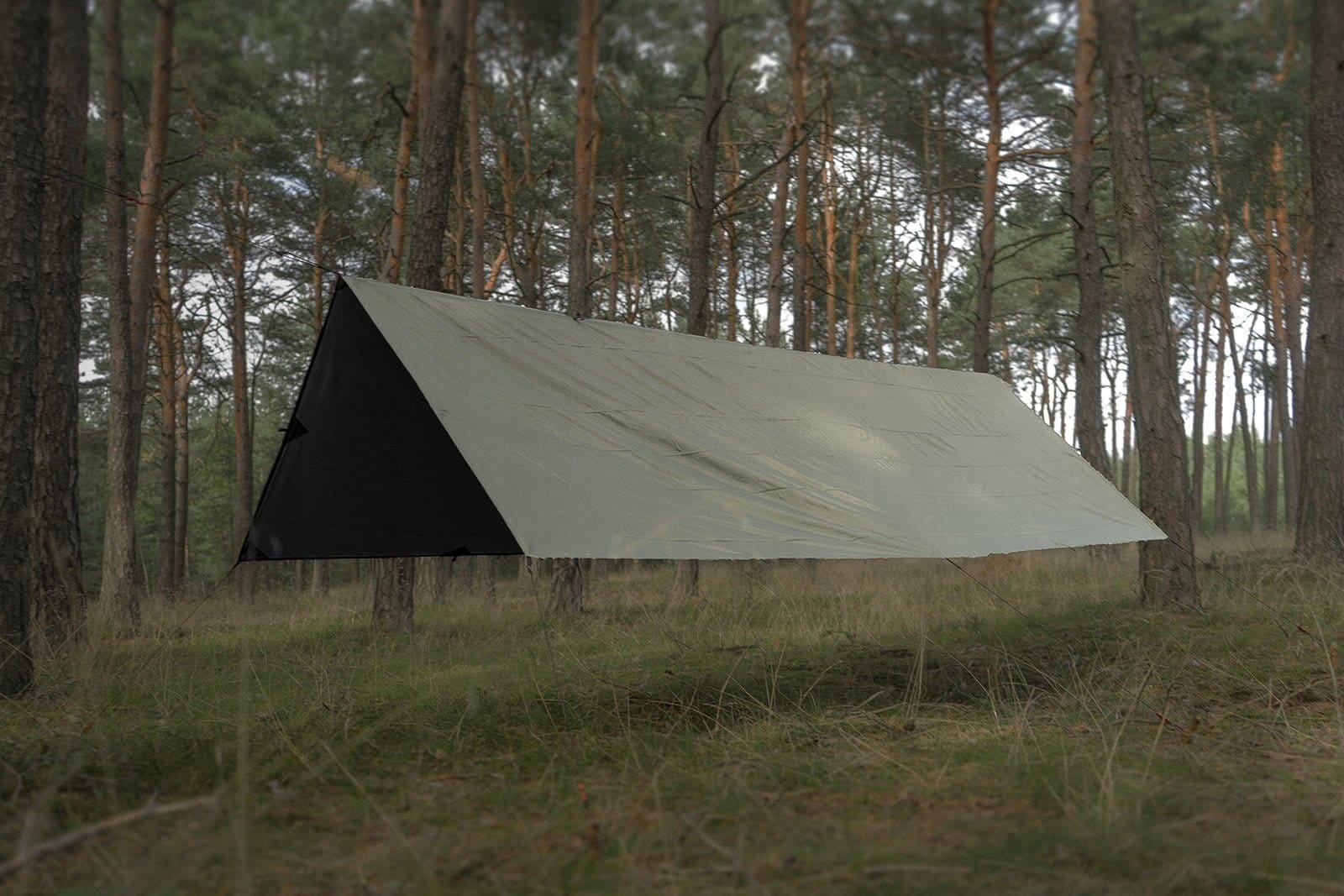 TigerWood T2 Tarp 3×4 m Olive/Black