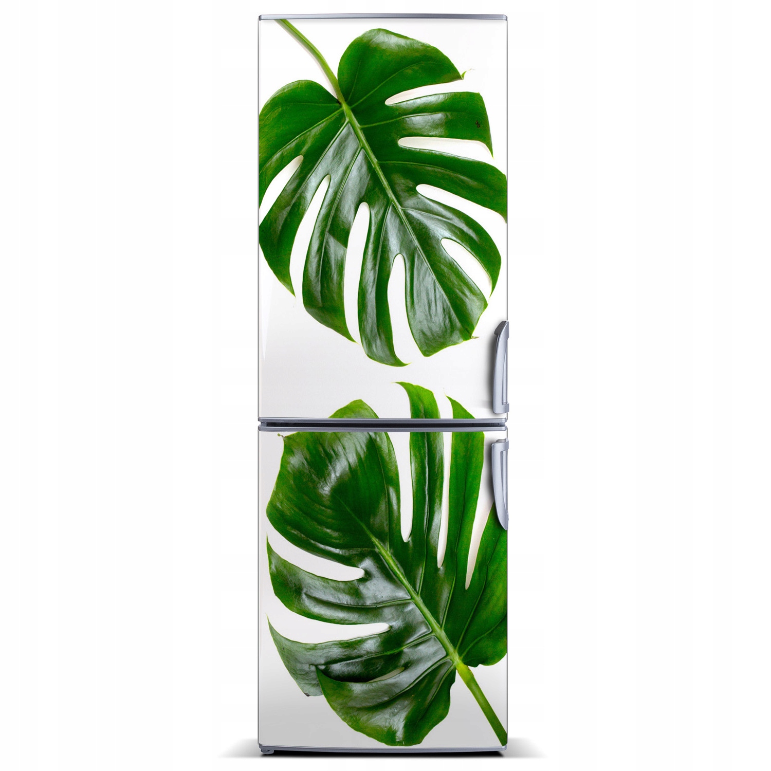 

Magnes naklejka Tapeta na lodówkę Monstera 60x180