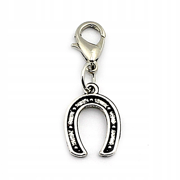 

Zawieszka Bransoletek Podziękowanie Podkowa Charms
