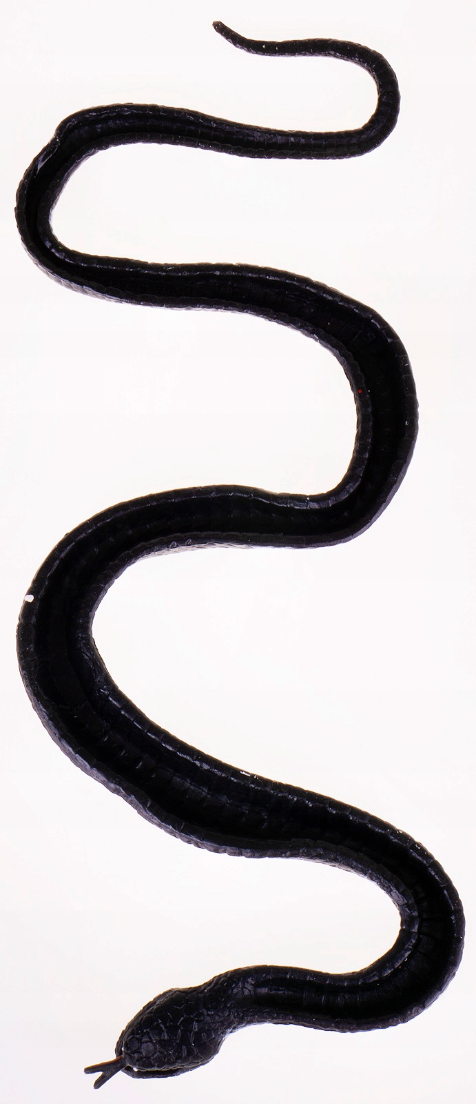wąż miękki   30cm HTE002 — 9